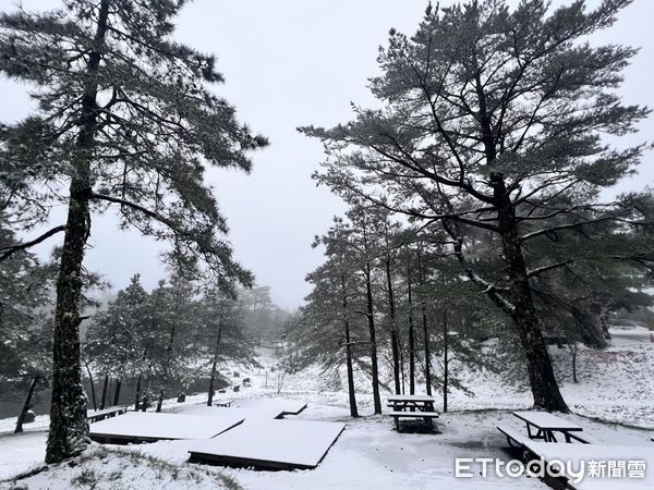 下雪。（圖／福壽山農場提供）