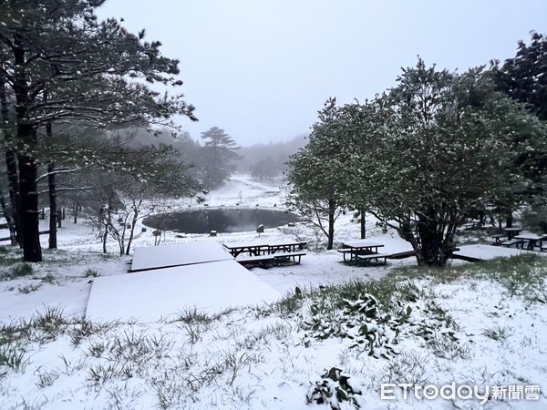 下雪。（圖／福壽山農場提供）