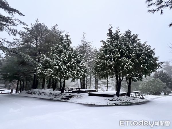 下雪。（圖／福壽山農場提供）