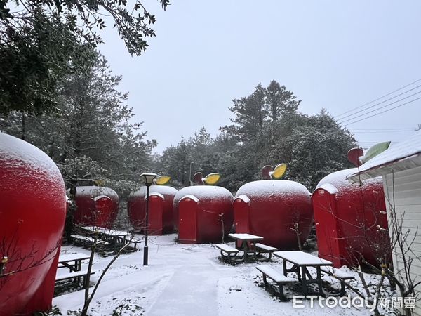 下雪。（圖／福壽山農場提供）