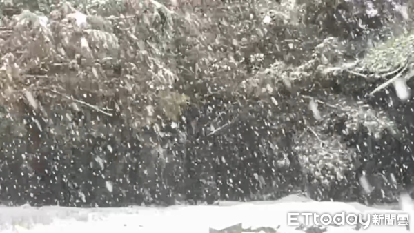 ▲▼台中和平福壽山下大雪。（圖／記者李陳信得翻攝）