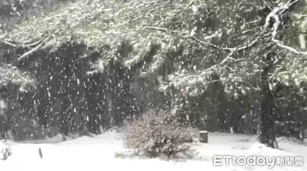 ▲▼台中和平福壽山下大雪。（圖／記者李陳信得翻攝）