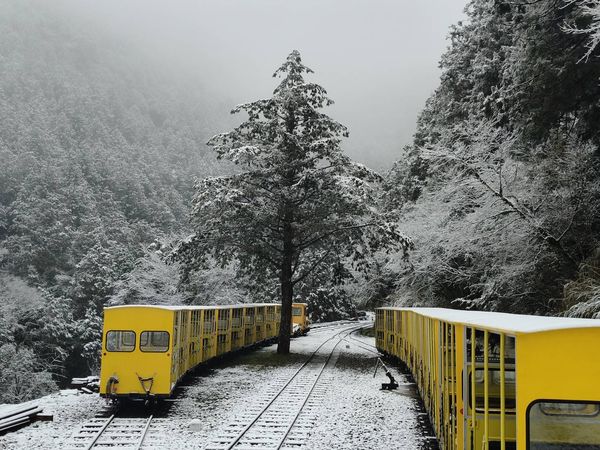 ▲▼太平山下冰霰成北國美景。（圖／太平山莊提供，下同）