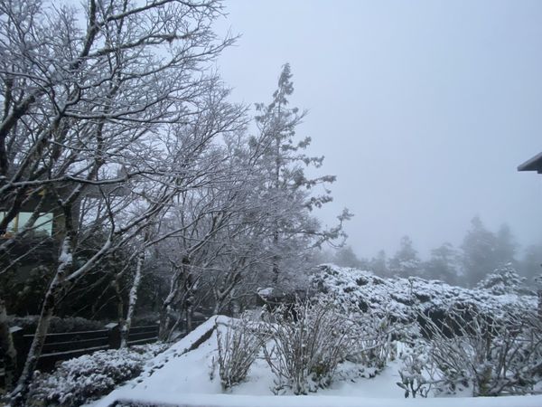 ▲▼太平山下冰霰成北國美景。（圖／太平山莊提供，下同）