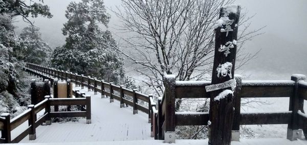▲▼太平山下冰霰成北國美景。（圖／太平山莊提供，下同）
