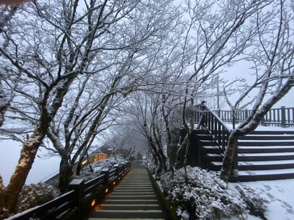 ▲▼太平山下冰霰成北國美景。（圖／太平山莊提供，下同）