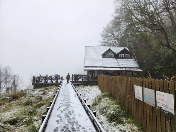▲▼武陵農場下雪。（圖／武陵農場提供）
