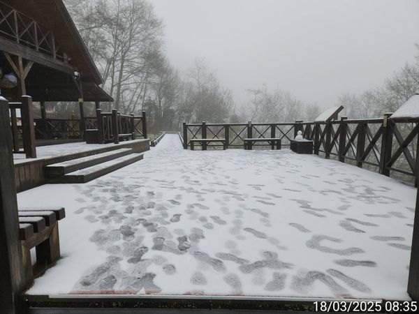 ▲▼武陵農場下雪。（圖／武陵農場提供）