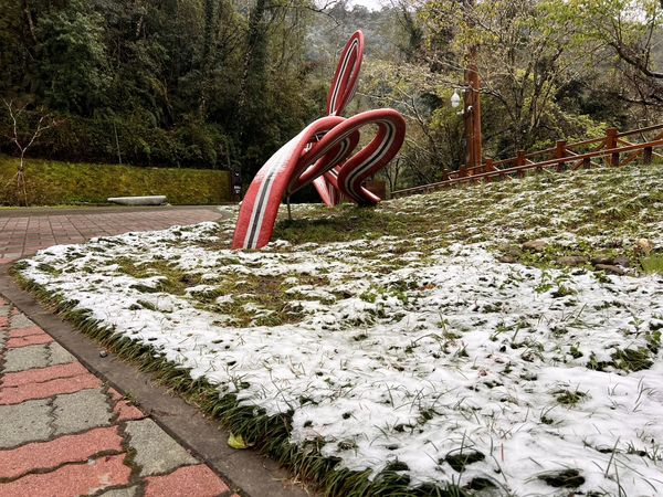 ▲▼桃園拉拉山下雪。（圖／桃園市政府提供）