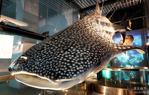 ▲▼國立海洋科技博物館。（圖／部落客紫色微笑授權提供）