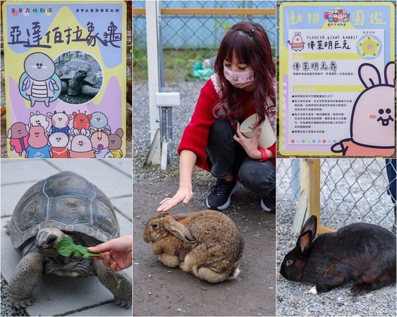 ▲▼星夢森林劇場。（圖／部落客陳小可的吃喝玩樂授權提供）