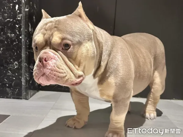 ▲（圖／網友＠yuchen0711提供，請勿隨意翻拍，以免侵權。）