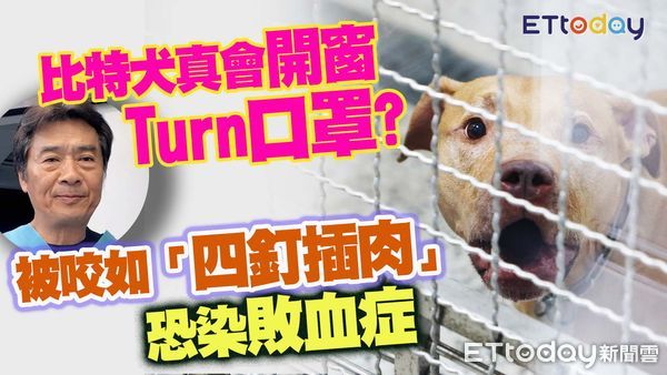▲獸醫師楊靜宇說明比特犬攻擊騎士事件。（圖／合成圖）