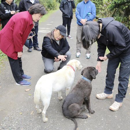 ▲▼前總統蔡英文、前行政院長蘇貞昌相約爬山。（圖／蔡英文臉書）