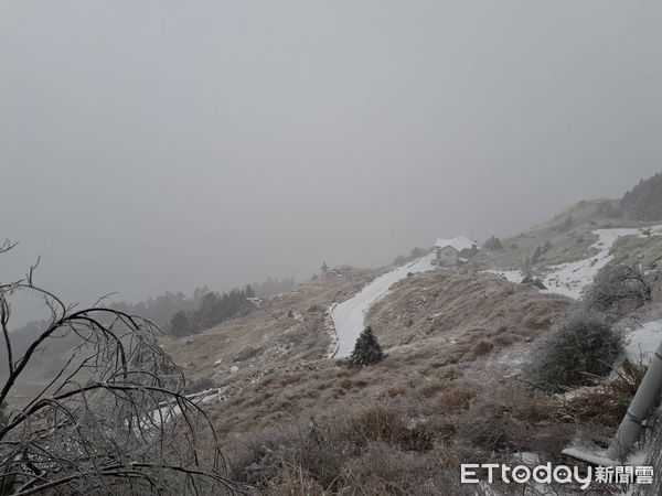 合歡山3/19又下雪。（圖／民眾提供）