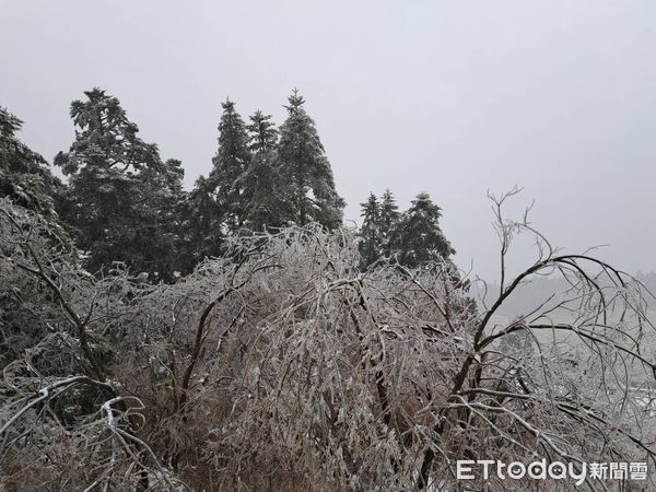合歡山3/19又下雪。（圖／民眾提供）