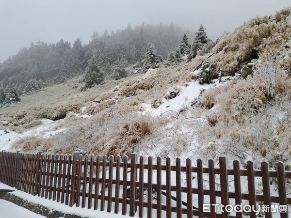 合歡山3/19又下雪。（圖／民眾提供）