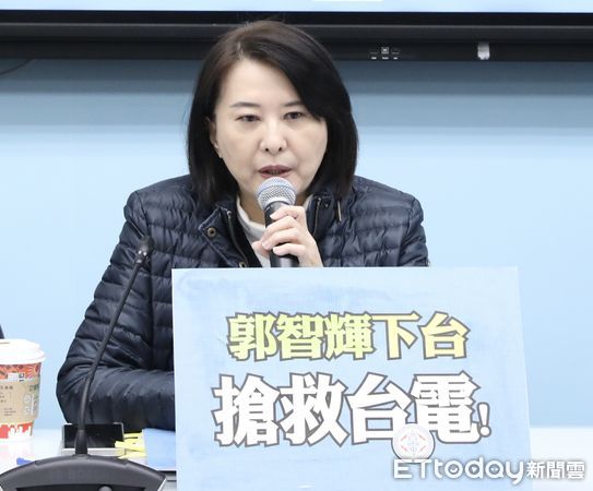 ▲▼國民黨團召開 郭智輝鬼打牆 下台救台電 記者會 王鴻薇 賴士葆 王育敏 徐巧芯 出席。（圖／記者屠惠剛攝）
