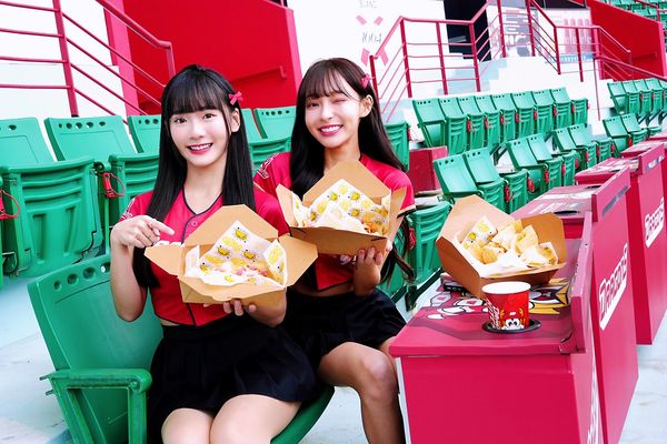 ▲▼味全天母主場特殊席位3/20全面開賣。（圖／味全龍提供）