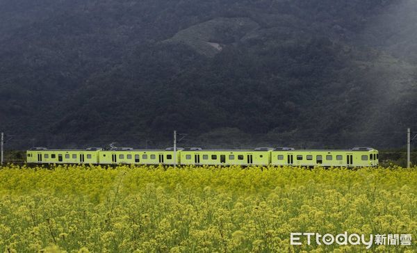 ▲▼台鐵山嵐號觀光列車。（圖／雄獅旅遊提供）