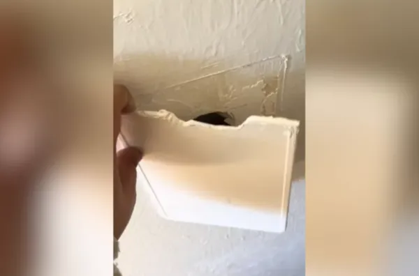 ▲▼             。（圖／翻攝自TikTok）