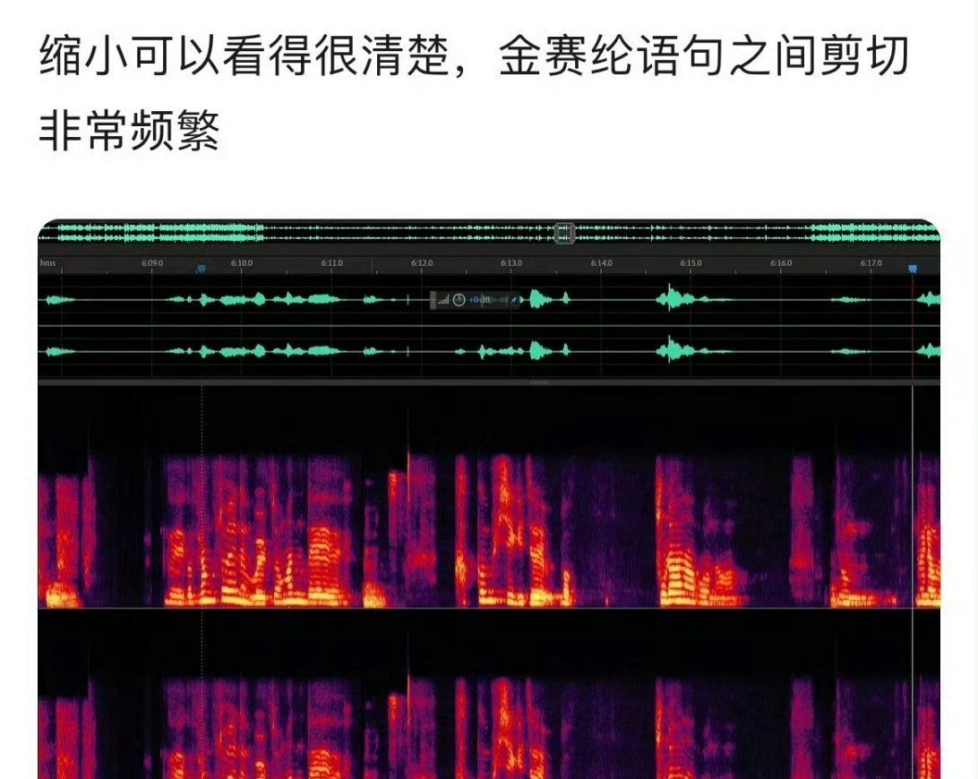 ▲▼有大陸網友對李鎮浩的YT影片進行音頻波形分析，發現金賽綸錄音檔的部分有頻繁剪輯的痕跡，李鎮浩說話的部分則沒有。（圖／翻攝微博）