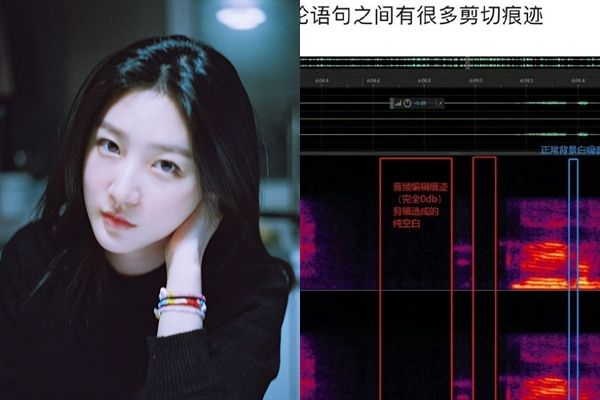 ▲▼有大陸網友對李鎮浩的YT影片進行音頻波形分析，發現金賽綸錄音檔的部分有頻繁剪輯的痕跡，李鎮浩說話的部分則沒有。（圖／翻攝微博）