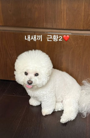 ▲朴敘俊的貼文引發聯想。（圖／翻攝自朴敘俊Instagram）