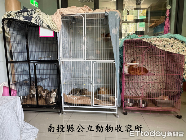 ▲南投縣家畜疾病防治所人員會同屋主、里長及當地員警，前往涉嫌虐貓的陳姓男子租屋處進行聯合稽查。（圖／南投縣家畜疾病防治所提供）