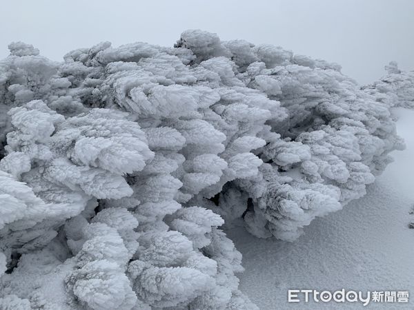 ▲高山雪季登山意外多，昨有1名菲律賓登山客失足滑落約50公尺深山谷，幸好獲救。（圖／雪霸處提供）
