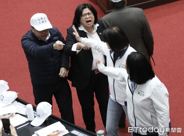 ▲▼吳秉叡 陳玉珍 口角衝突 立法院院會。（圖／記者屠惠剛攝）