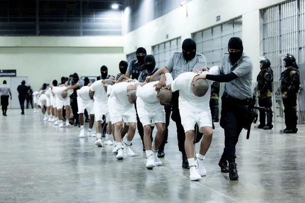 ▲▼ 薩爾瓦多警方押送委內瑞拉黑幫「阿拉瓜火車」（Tren de Aragua）成員。（圖／路透）