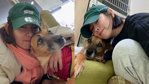 米可白認情緒不穩又難受　心疼愛犬罹癌快走了：我好無力