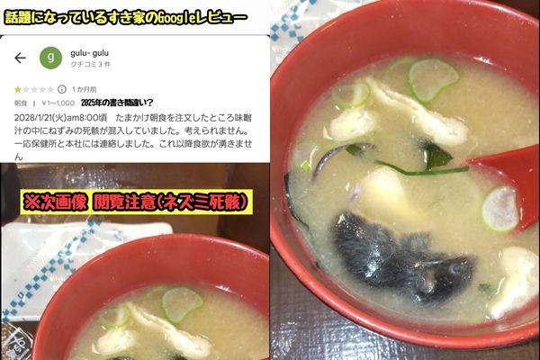 ▲▼日本SUKIYA味噌湯驚見「完整老鼠」！網崩喊沒食慾　業者發聲了。（圖／翻攝自X／@tkzwgrs）