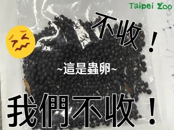 ▲台北動物園收詭異信件內含「竹節蟲卵」　呼籲：勿隨意棄養外來種。（圖／翻攝自Facebook／Taipei Zoo 臺北市立動物園）