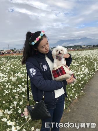 阿公以前養老虎。（圖／IG@ihsuan_yeh提供）
