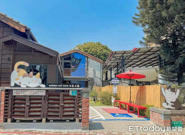 ▲▼台南角落有貓咖啡廳。（圖／記者蔡玟君攝）