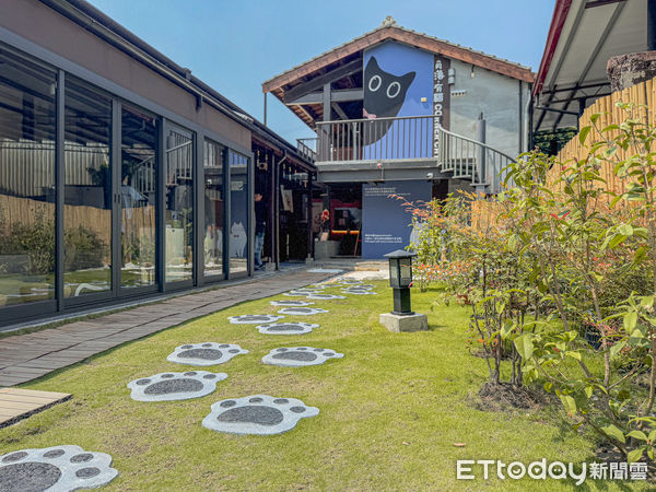 ▲▼台南角落有貓咖啡廳。（圖／記者蔡玟君攝）
