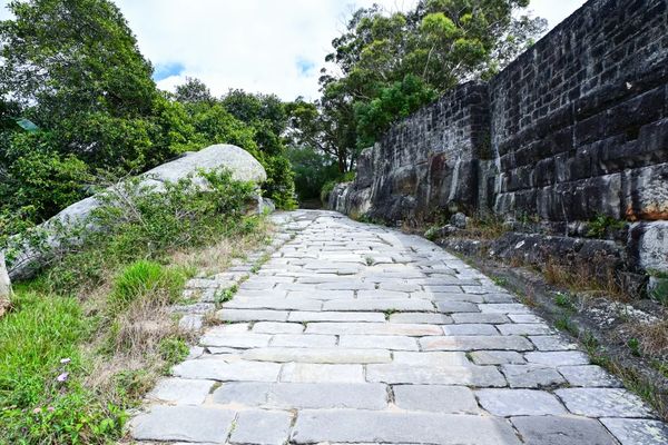 ▲▼【雪梨港灣健行】屈臣氏灣 & Gap Park健行、Rose Bay隨拍。（圖／部落客travel with leo授權提供）