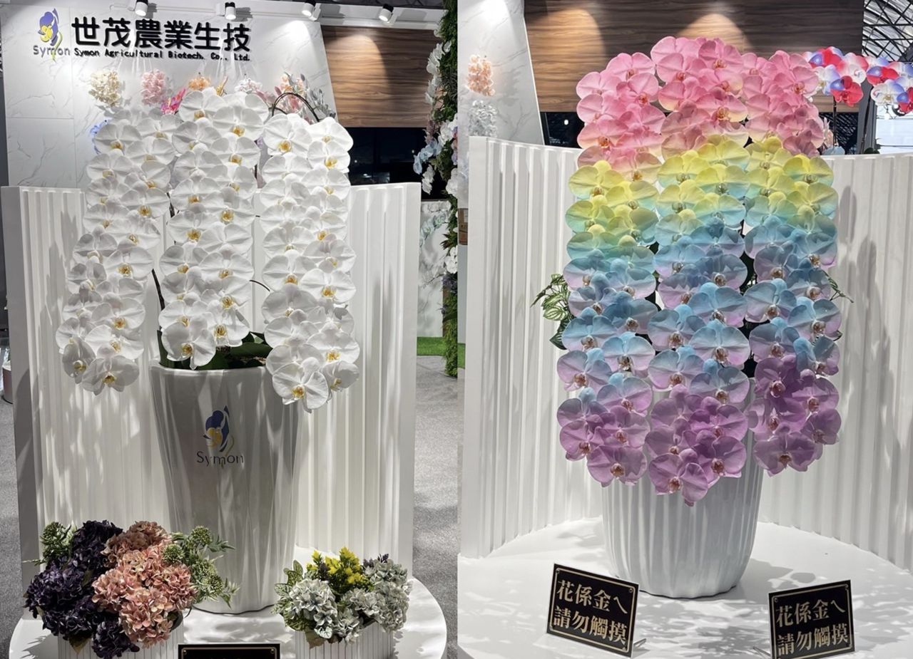 ▲▼蘭花,蘭花展。（圖／世茂農業生技）