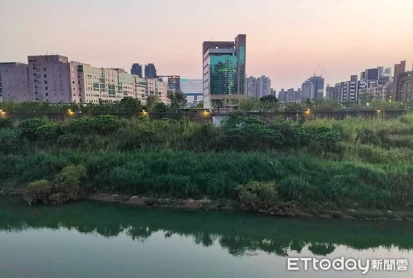 ▲▼新店區河濱公園驚見浮屍。（圖／記者黃彥傑翻攝）