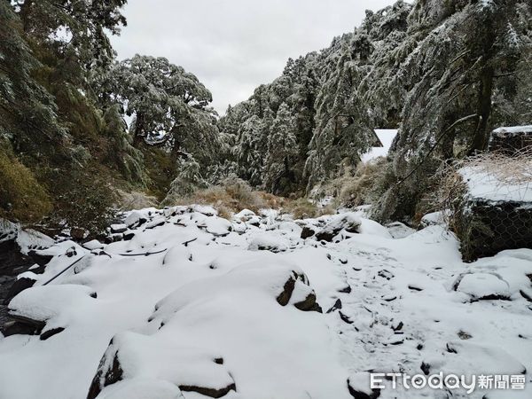 ▲▼合歡山區冰雪仍多，步道結未融。（圖／太管處提供，下同）