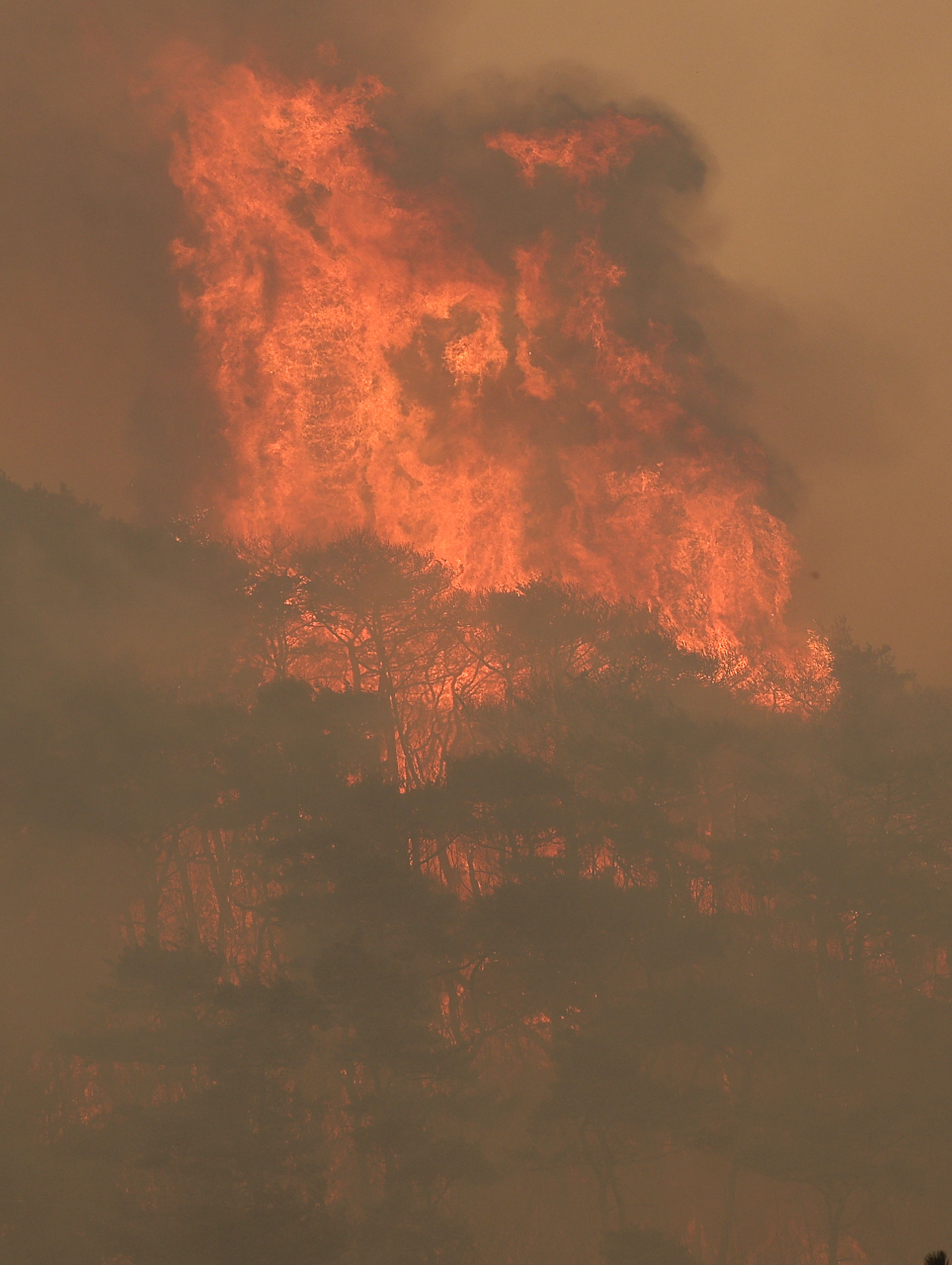 ▲▼南韓慶尚北道義城郡出現嚴重山林大火，火勢危急高速公路的休息站。（圖／達志影像）