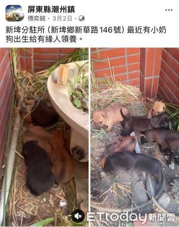 ▲潮州警分局新埤派出所警員傅弈銘幫狗隻找到家           。（圖／記者陳崑福翻攝）