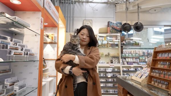 ▲▼被山豬吊扯斷前腿！流浪貓變身「鐵雄店長」。（圖／臺灣動物緊急救援推廣協會提供）