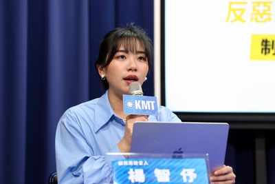 反惡罷闢謠網站上線! 國民黨:年輕人吹起台灣「反綠」風潮