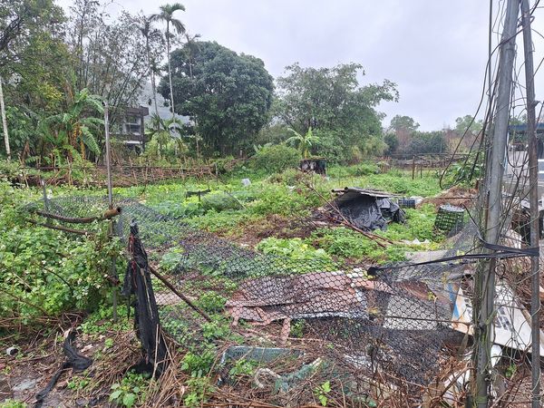 ▲沈男持分3分之1，位於宜蘭礁溪的近千萬元菜園，將被拍賣。（圖／行政執行署宜蘭分署）