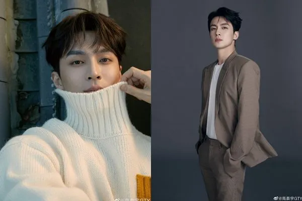 ▲高泰宇發長文講述引退原因。（圖／翻攝自高泰宇微博）