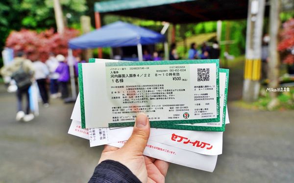 ▲▼北九州市河内藤園|美國CNN選為「日本最美場所31選」之一,唯美夢幻還有漸層花色的紫藤花隧道。（圖／部落客mika授權提供）