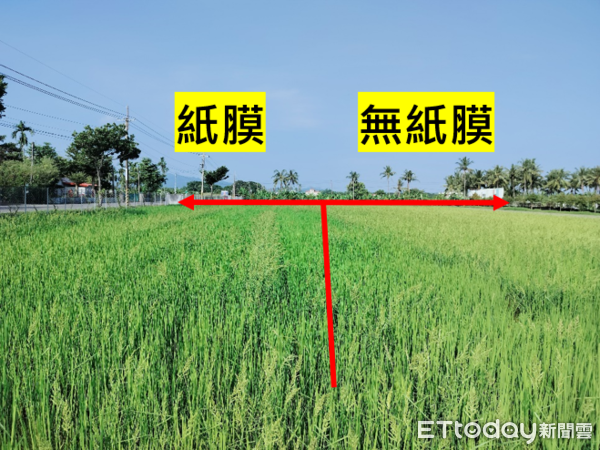 ▲農用紙膜            。（圖／高雄區農改場提供）